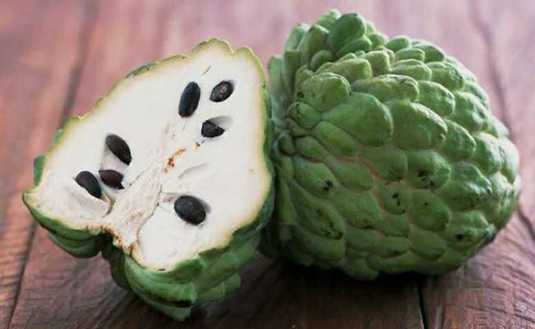 Fruit