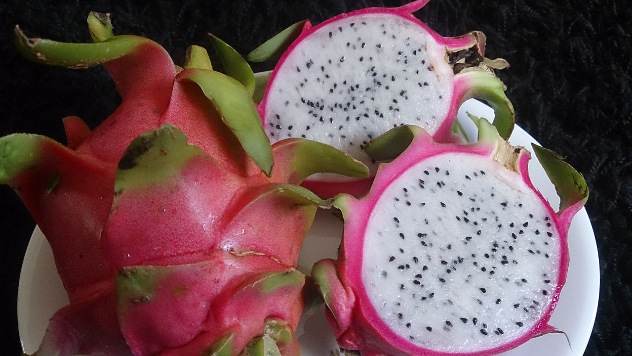 Fruit
